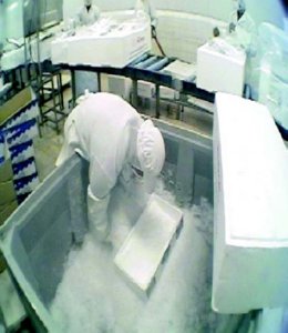 industria salmon (44)  ALIMENTOS MERCADO